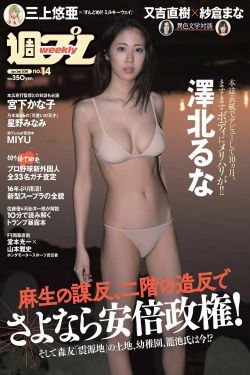 情定三生演员表介绍